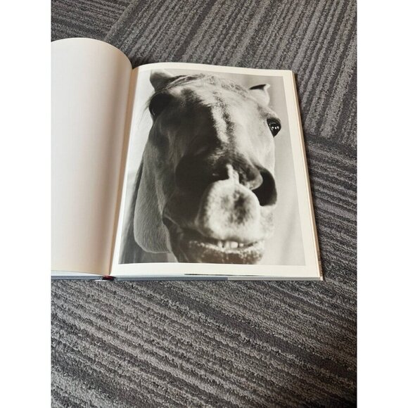 Heart of the Horse Juliette Ban otteren photography coffee table book MINT - Picture 3 of 8